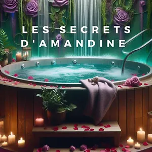 Les Secrets D'amandine Troguery